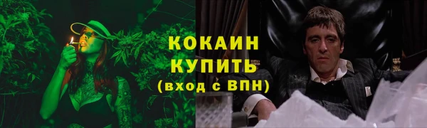 трава Беломорск