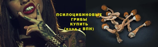 трава Беломорск