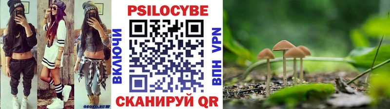 Псилоцибиновые грибы Psilocybine cubensis  Котлас 