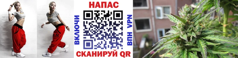 Шишки марихуана MAZAR  mega ссылки  Котлас 